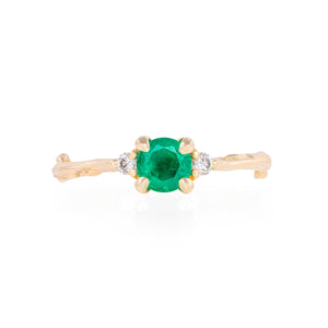 Love is All 0.5ct Emerald Engagement Ring - 14k Gold Twig Band